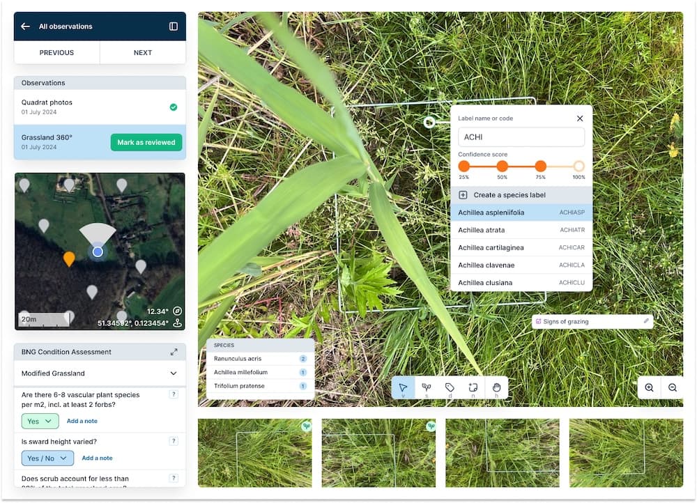 Mozaic Earth observation analysis — AI-assisted species identification and BNG condition assessment on field imagery